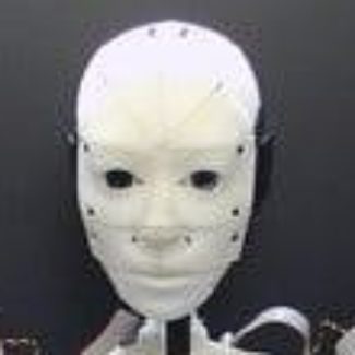 Illustration du profil de Dwijen