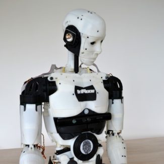 Profile picture of Ana Calamote