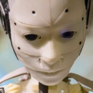 Illustration du profil de Meerhout