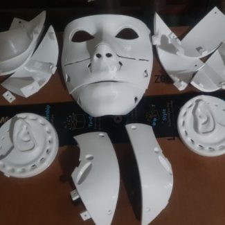 Illustration du profil de Adam