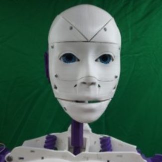 Illustration du profil de Bruce