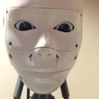 Illustration du profil de Frixo