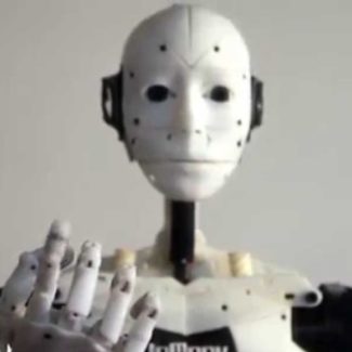 Illustration du profil de Tuankaya