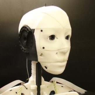 Illustration du profil de Mikael Paez Vallecer