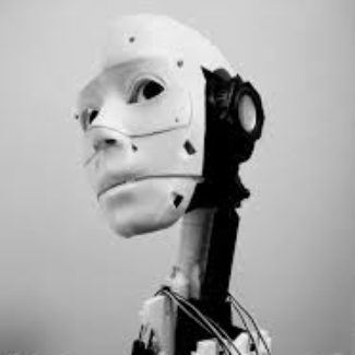 Illustration du profil de arnav jee