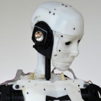 Profile picture of Clovis