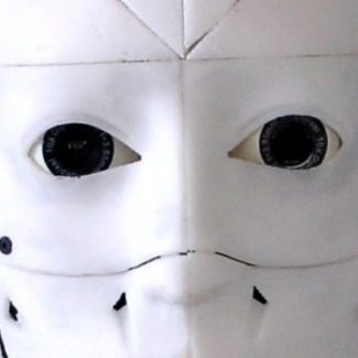 Illustration du profil de Steve T