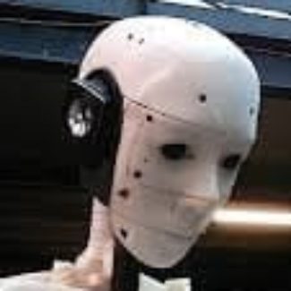 Illustration du profil de robert