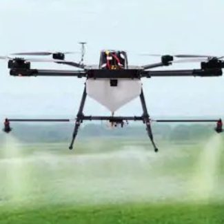 Illustration du profil de charlottedavis