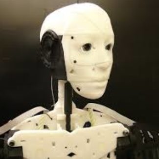 Illustration du profil de Deepak Radhakrishnan