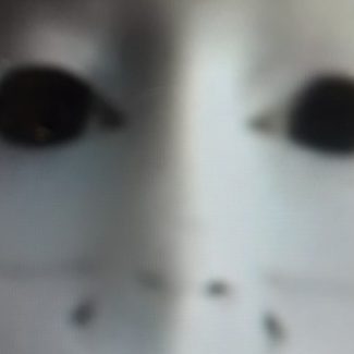 Profile picture of GREGORY R KOPCZA