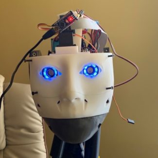 Illustration du profil de sauron