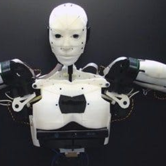 Illustration du profil de David Czinege