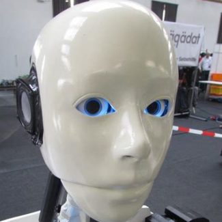 Illustration du profil de fega