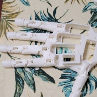 Illustration du profil de earthgiver