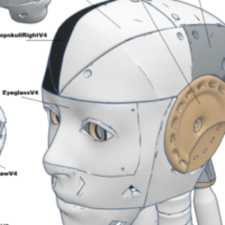 Illustration du profil de Wayne