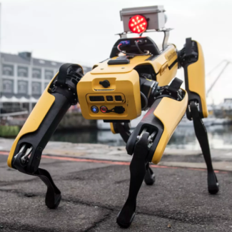 Illustration du profil de Liam Liao