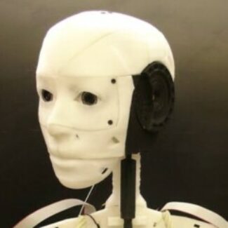 Illustration du profil de Umut