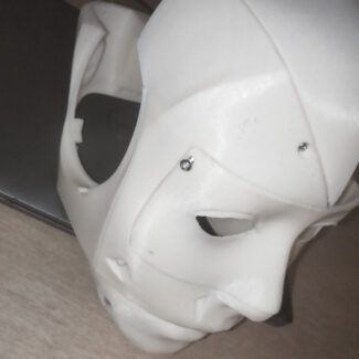 Illustration du profil de Renier Marx