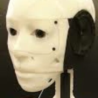 Illustration du profil de Fabio