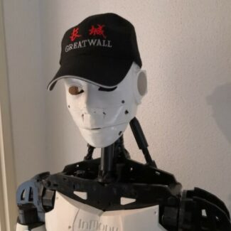 Illustration du profil de David