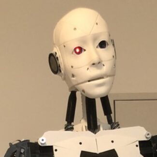 Illustration du profil de romeo