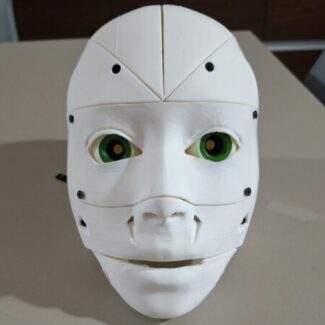 Illustration du profil de Loris