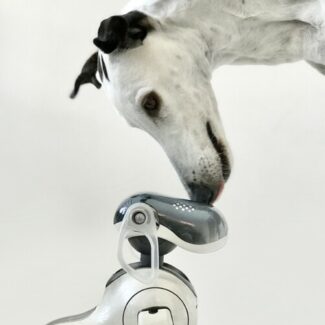 Illustration du profil de Nadia