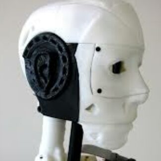 Profile picture of OLIVIERO LOVENZO HARPER