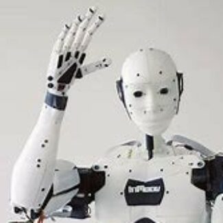 Illustration du profil de Rafael