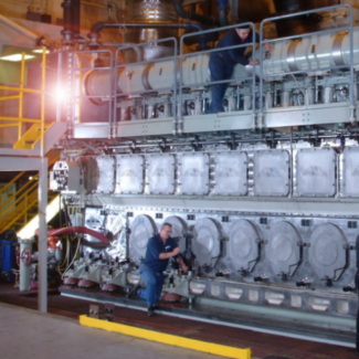 Illustration du profil de Paden Davis