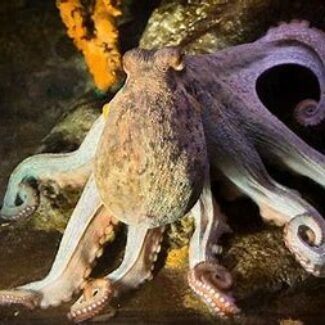 Profile picture of Juan