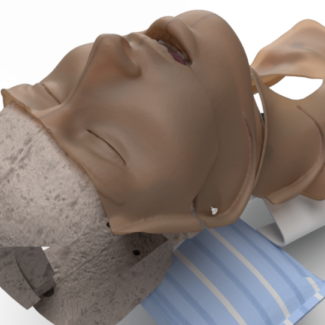 Illustration du profil de KarlDsign