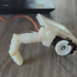 Profile picture of Caitlin