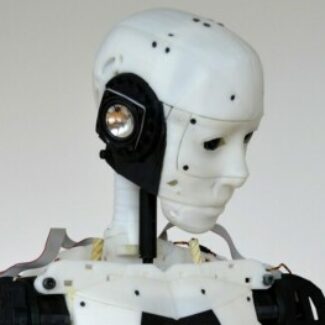 Illustration du profil de adrien