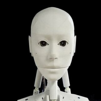 Illustration du profil de Stephen