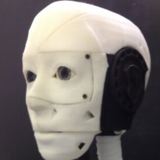 Illustration du profil de Dr. Sandra Melendez