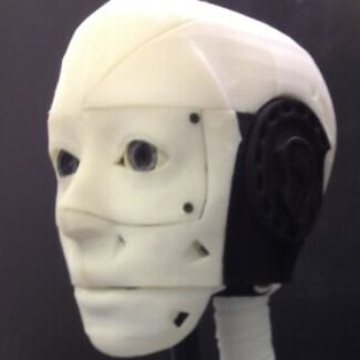 Illustration du profil de salvo r