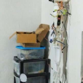 Profile picture of Devvrat