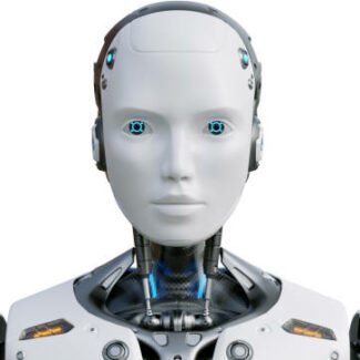 Profile picture of Fernando