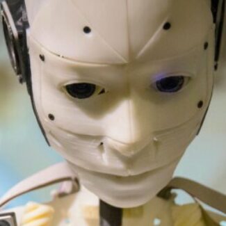 Profile picture of Cocon