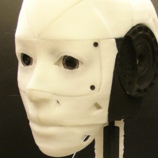 Profile picture of Steven Tong， STEAM teacher