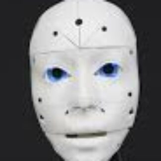 Illustration du profil de Robi