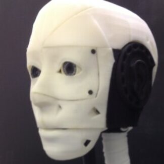 Illustration du profil de Konstantin Merkel