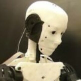 Illustration du profil de Romain