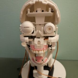 Illustration du profil de Barchapt