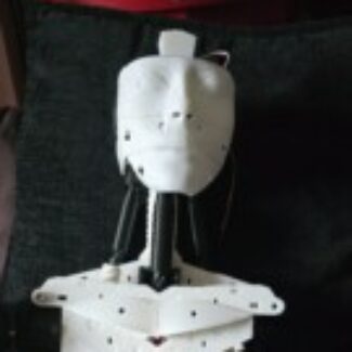 Illustration du profil de Ian