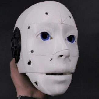 Illustration du profil de Jes