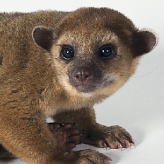 Profile picture of alberto