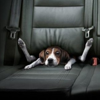 Profile picture of Coderjoy